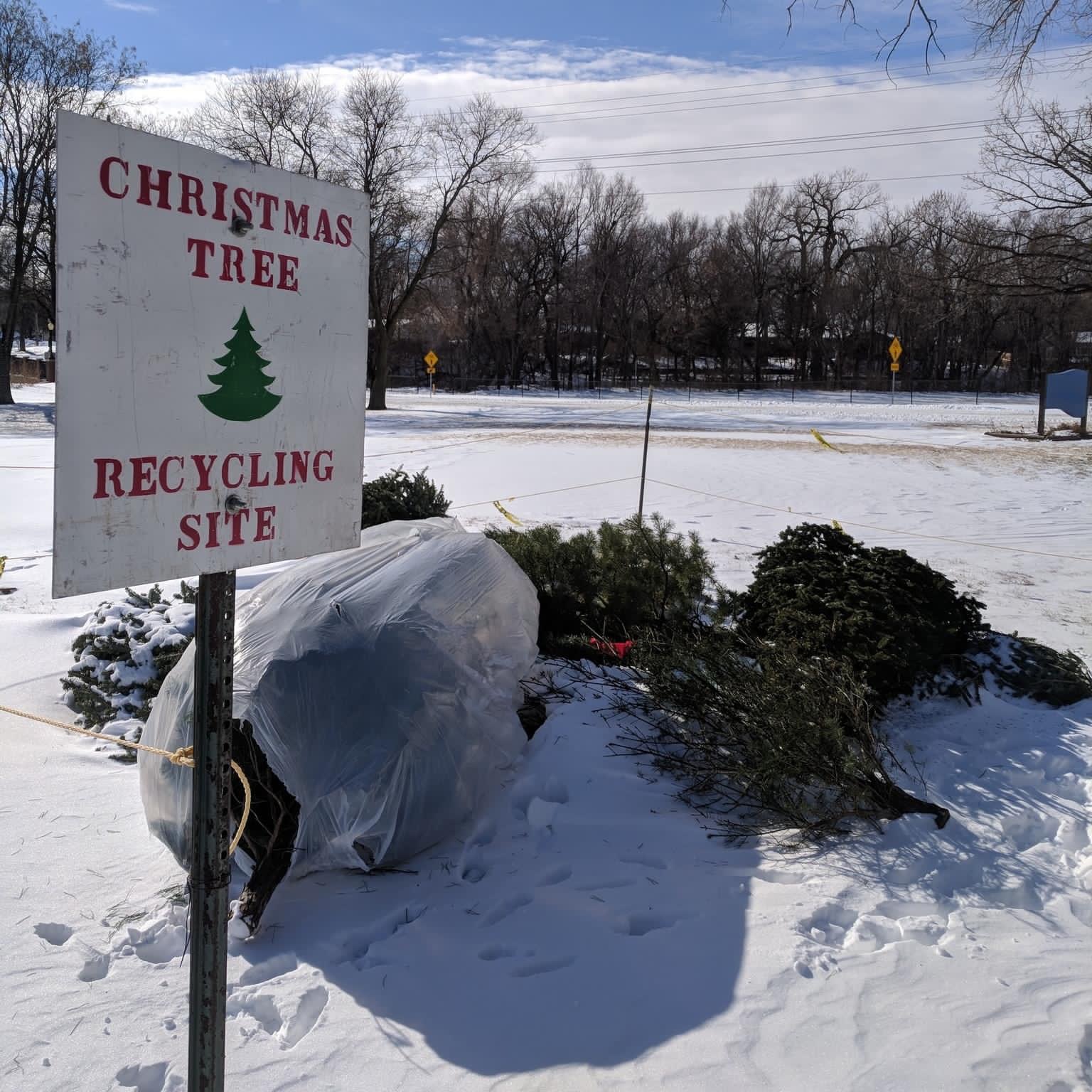 Christmas Tree Recycling Available at Several City Parks - News Image
